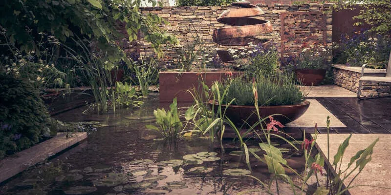 A beautiful assortment of vibrant aquatic pond plants.