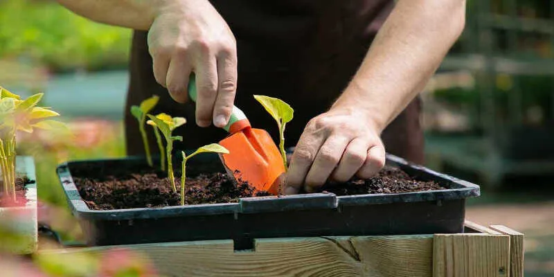 A close up of a soaker hose watering plants.