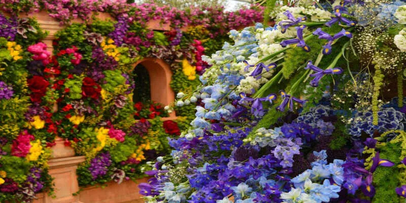 A community volunteer tending to colorful blooms.