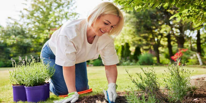 A gardener mixing organic compost into dark soil.