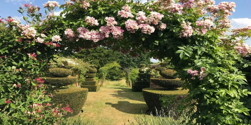 A winding park pathway lined with summer flowers.