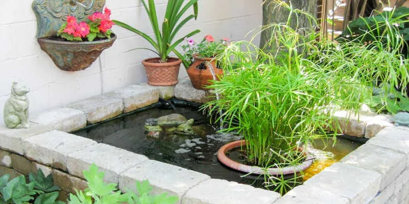 An old ceramic pot converted into a mini pond.