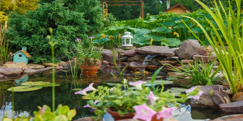 Arranging smooth stones inside a dark container pond.