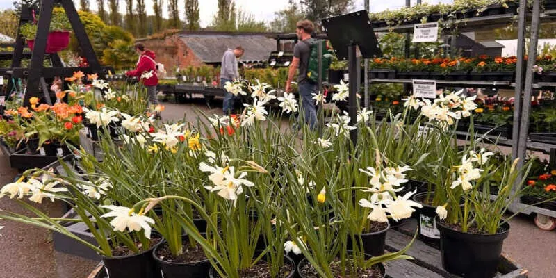 Best Flower Displays In Nottingham