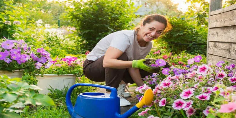 Gardening Tips For Beginners