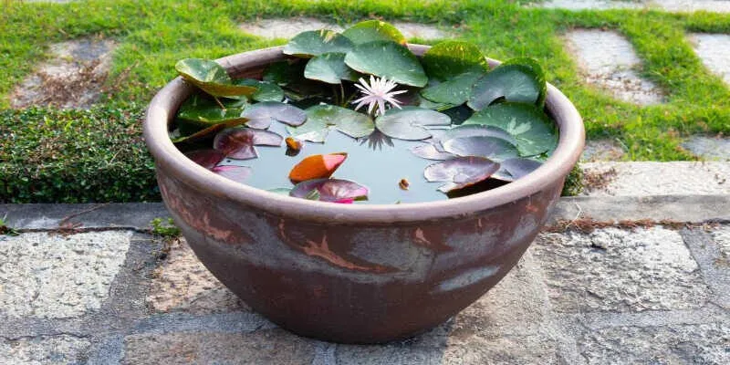 How to Make a Container Pond