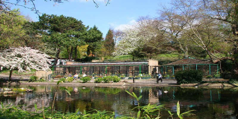 A beautiful historic stone pavilion surrounded by old trees