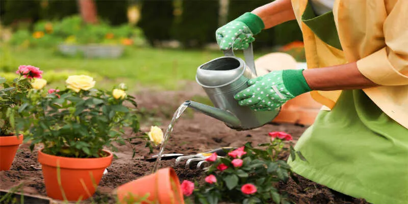 Seasonal Gardening Tips UK