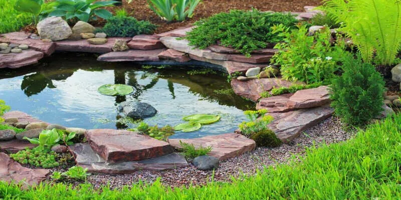 Small Garden Pond Ideas