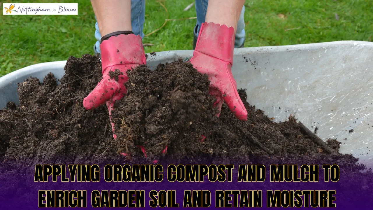 Applying organic compost and mulch to enrich garden soil and retain moisture