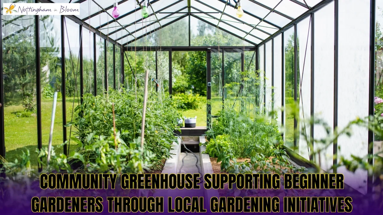 Community greenhouse supporting beginner gardeners through local gardening initiatives
