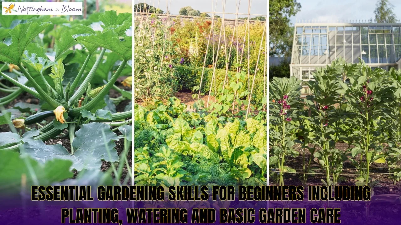 Essential gardening skills for beginners including planting, watering and basic garden care