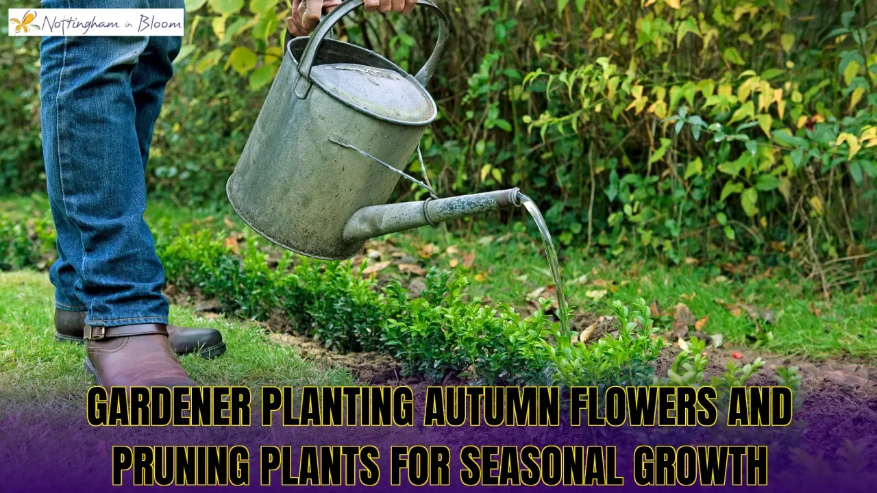 Gardener planting autumn flowers and pruning plants for seasonal growth