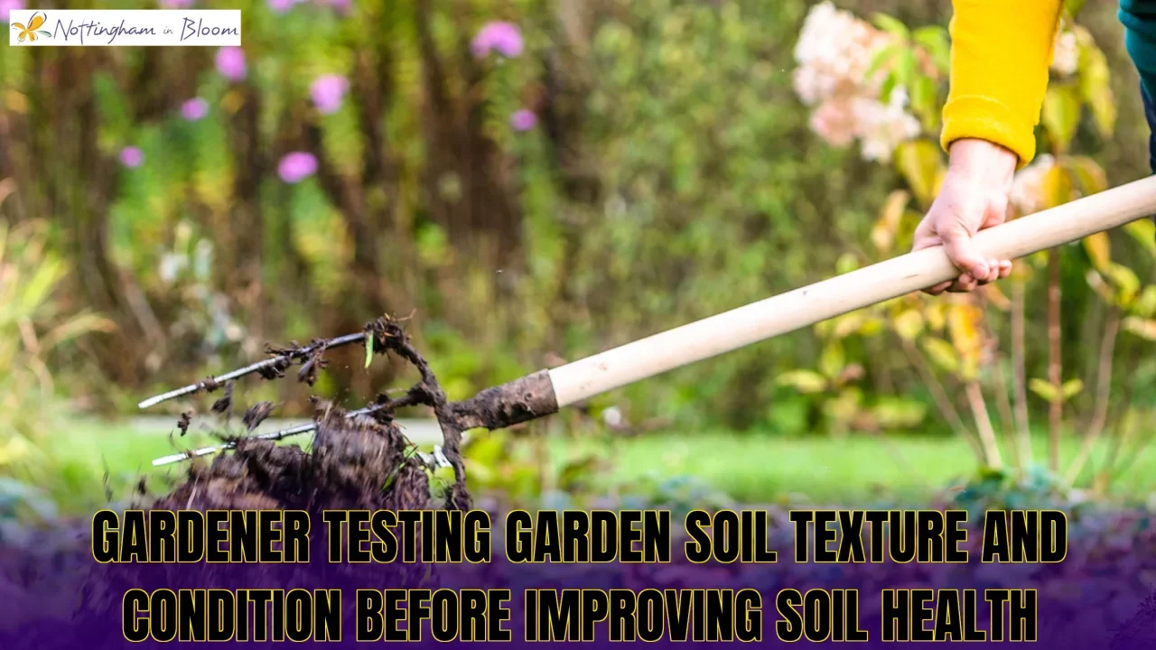 Gardener testing garden soil texture and condition before improving soil health