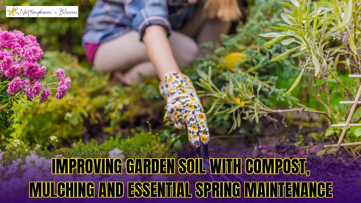 Improving garden soil with compost, mulching and essential spring maintenance