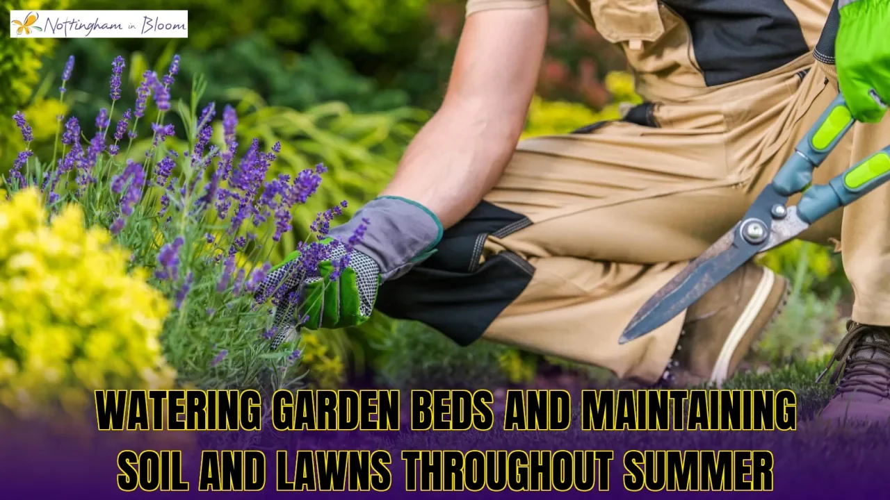 Watering garden beds and maintaining soil and lawns throughout summer