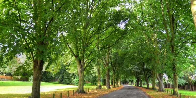Characteristics of Nottingham community gardens