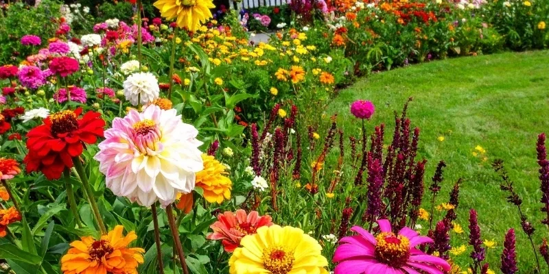 Choosing Nottingham gardening events