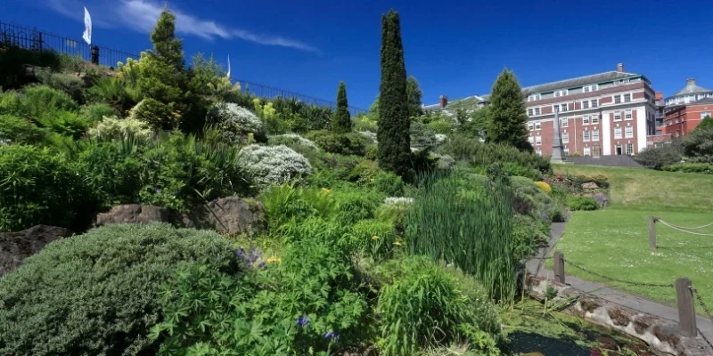 Community gardens Nottingham | Nottingham In Bloom Guide