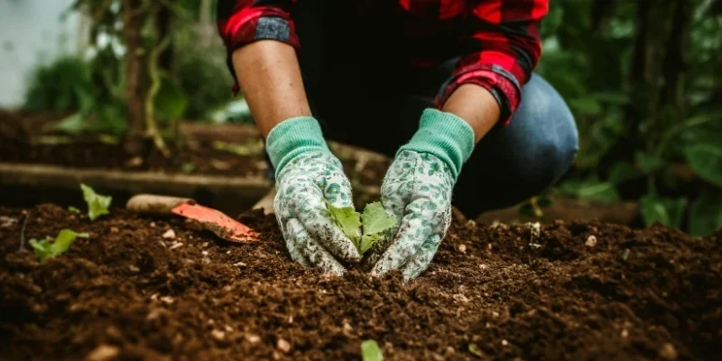 Gardening events Nottingham | Nottingham In Bloom Guide