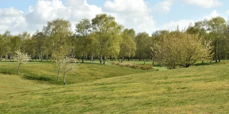 Joining community gardens with Nottingham In Bloom